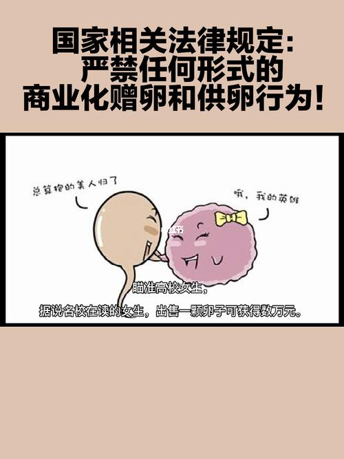 供卵违法吗【供卵违法吗？法律如何规定？】