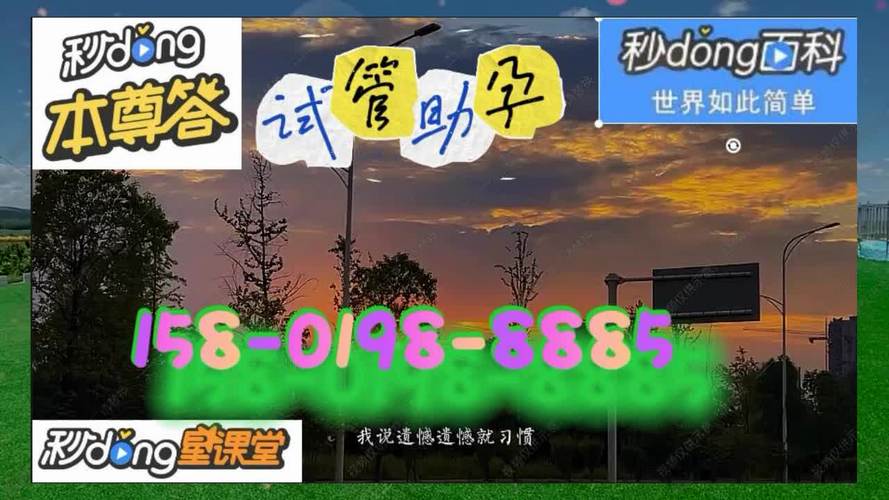 供卵试管代怀公司哪家好-供卵试管代怀公司哪家好？选择最佳代怀机构的关键指南