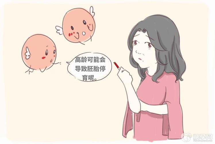 供卵试管成功率高吗(高龄)-供卵试管成功率高吗(高龄)：真实案例告诉你答案