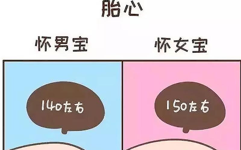 包生男孩哪家好_包生男孩哪家好?选择困难症的救赎