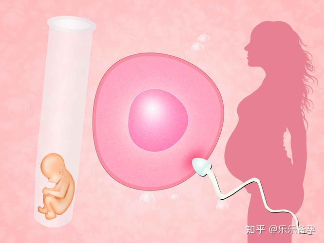 供卵移植成功率_供卵移植成功率：如何提高成功率？