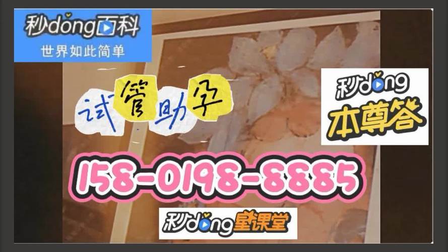 供卵试管代怀合法公司【供卵试管代怀合法公司:您的最佳选择】