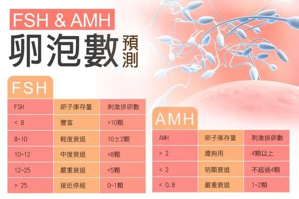 供卵多少钱?(供卵多少钱?这是个让人犹豫的问题)