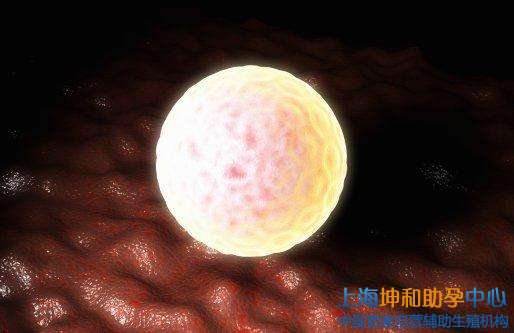 供卵的卵子多少钱一枚【供卵：卵子多少钱一枚？】