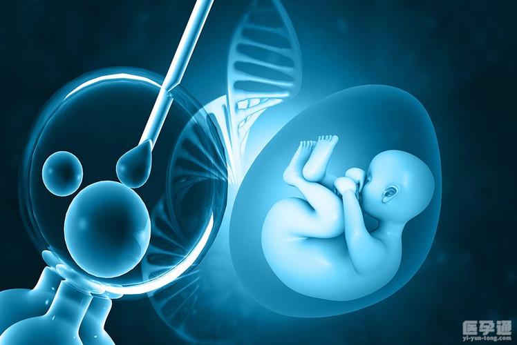 供卵代生孩子全包-供卵代生孩子全包服务专家指导