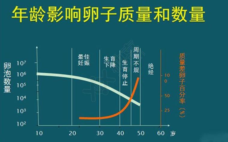 供卵生子成功率有多少(供卵生子成功率有多少？一窥成功率背后的真相)