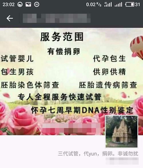 供卵试管代怀合同-供卵试管代怀合同:法律、风险与责任