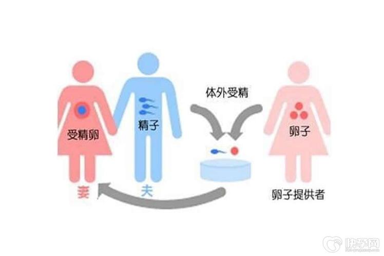 供卵的孩子有遗传母体基因吗_供卵孩子是否具有母体基因传承?