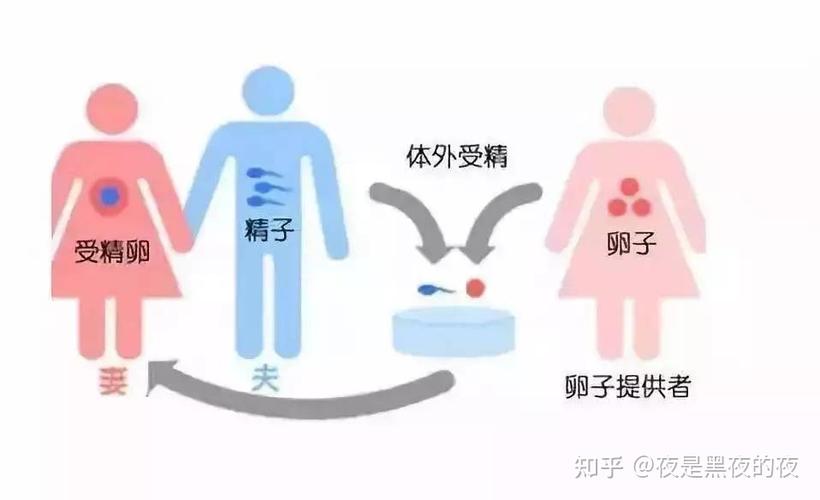 供卵有什么后果不好(供卵带来的不良后果有哪些)