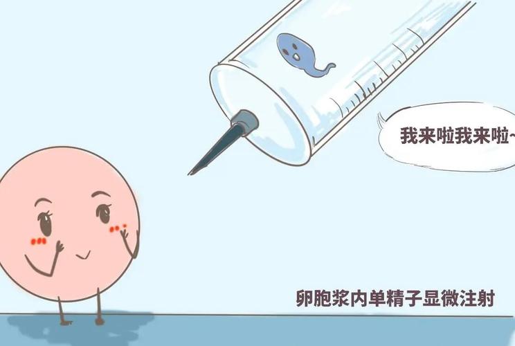 包生男孩试管_包生男孩试管:科技助力下的生育新选择